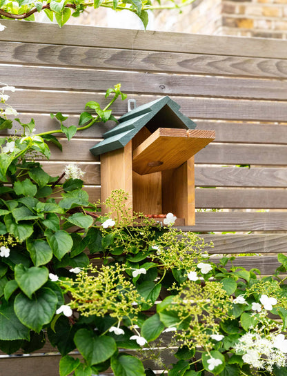 Olive Green Wooden Bird House