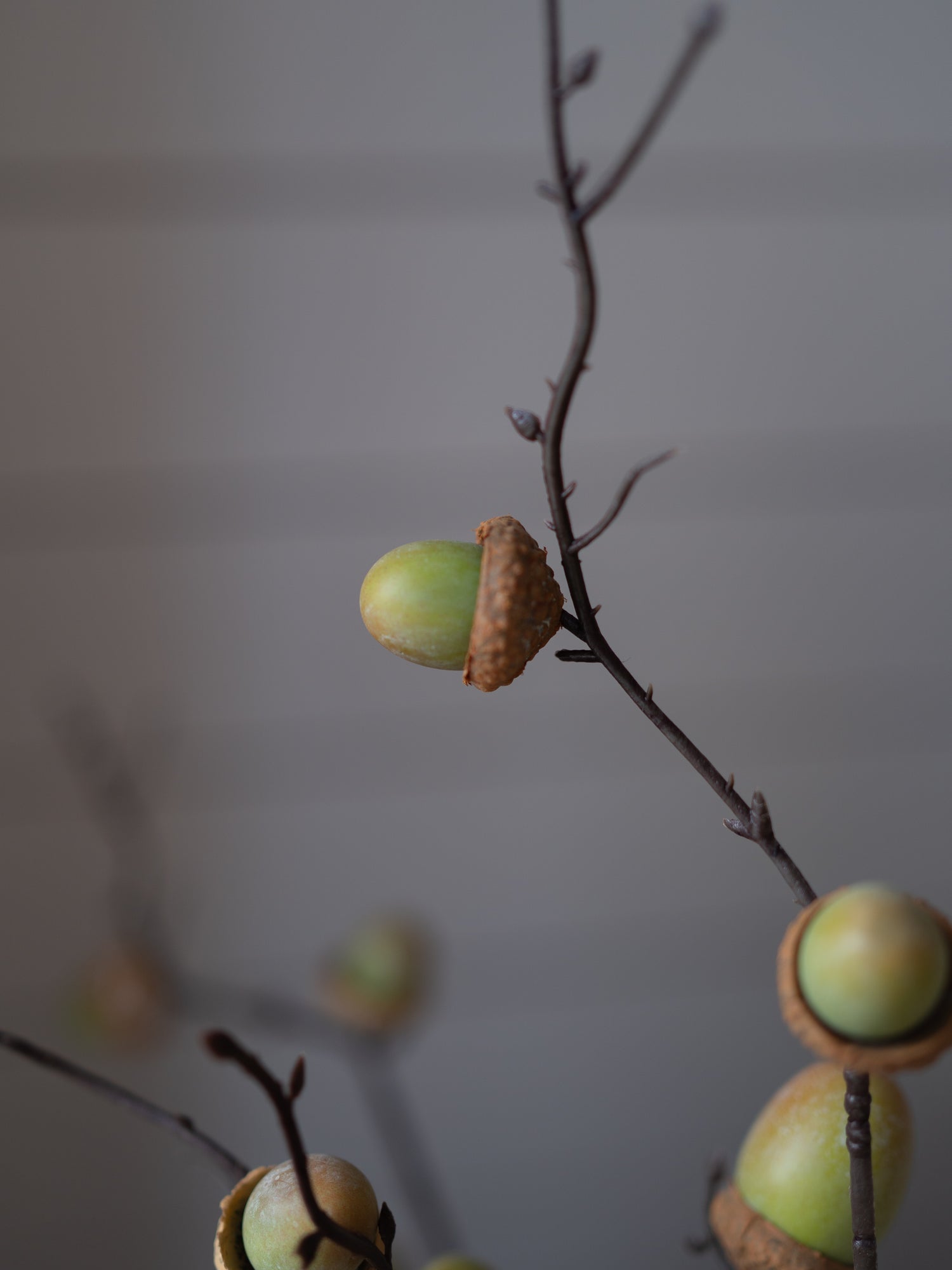 Faux acorns with brown textured caps attached to thin brown branches, arranged as a decorative garland against a soft, blurred gray background.