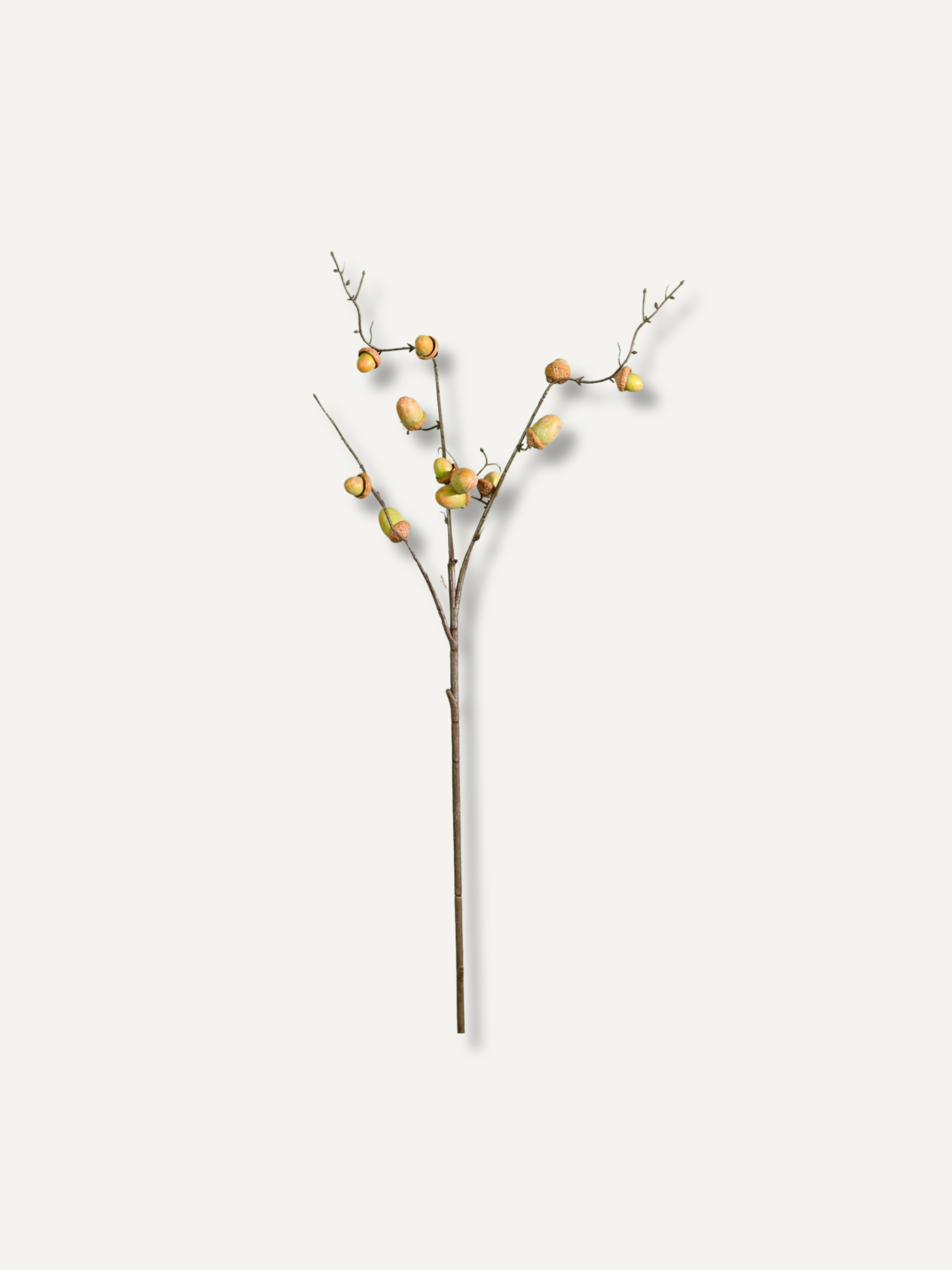 faux_green_acorn_branch