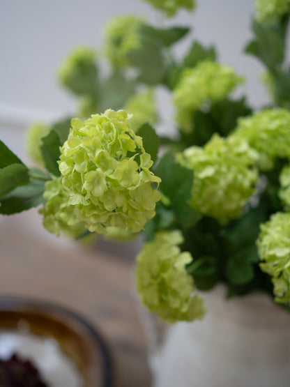 Close-up of green snowball flowers with a blurred background