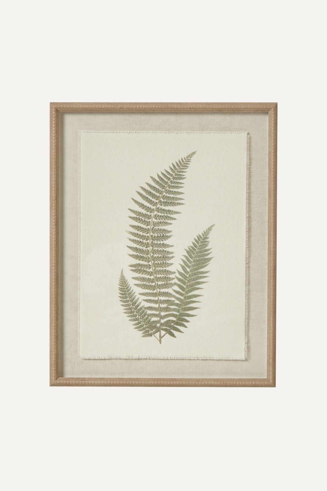 A framed wall art featuring a detailed illustration of sage green ferns on a textured beige background, enclosed in a wooden frame with a glass pane.