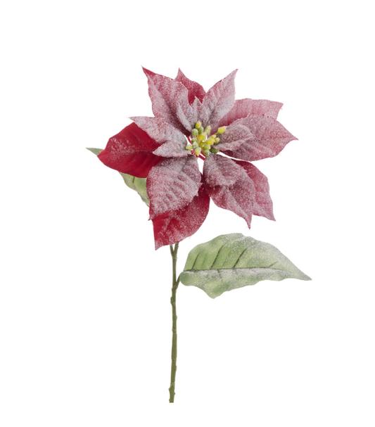 Snow Frosted Poinsettia Stem