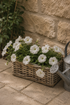 Grey buff rattan wicker basket of white petunias flowers on a stone patio with a watering can.