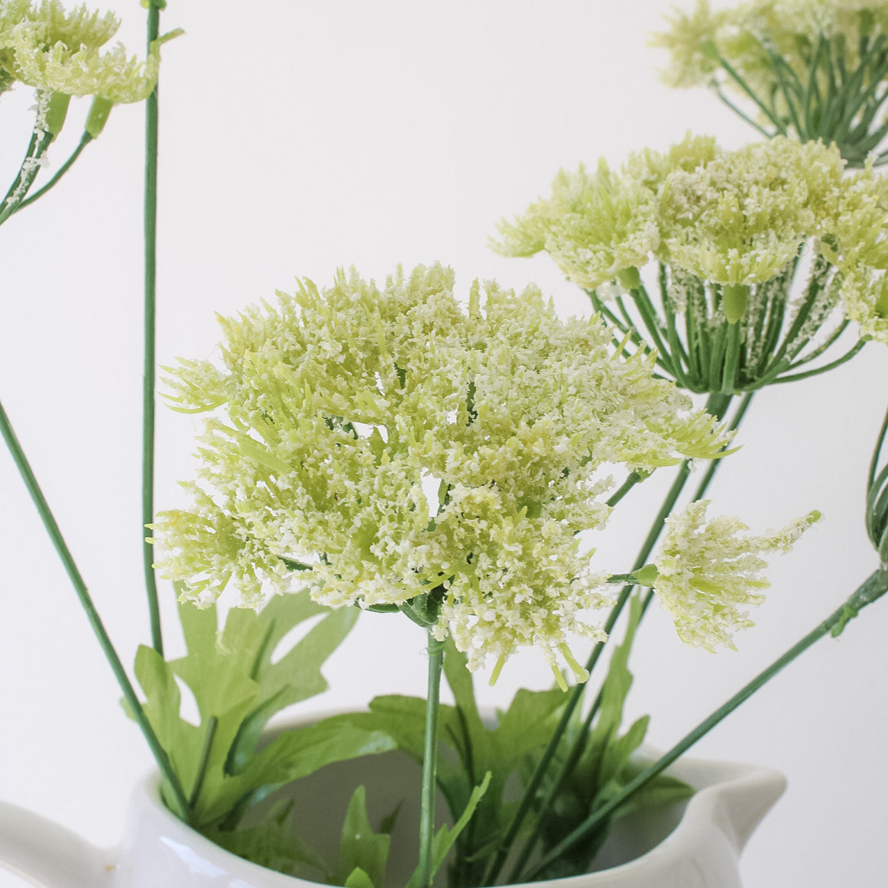 Queen Anne's Lace Spray | Bundle of 3