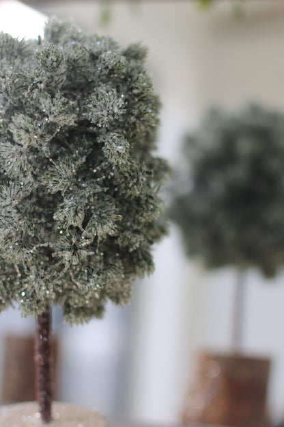 upclose of rounded green fir tree on wooden base