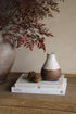 Decorative setting with a vase, books, and branches on a wooden surface.