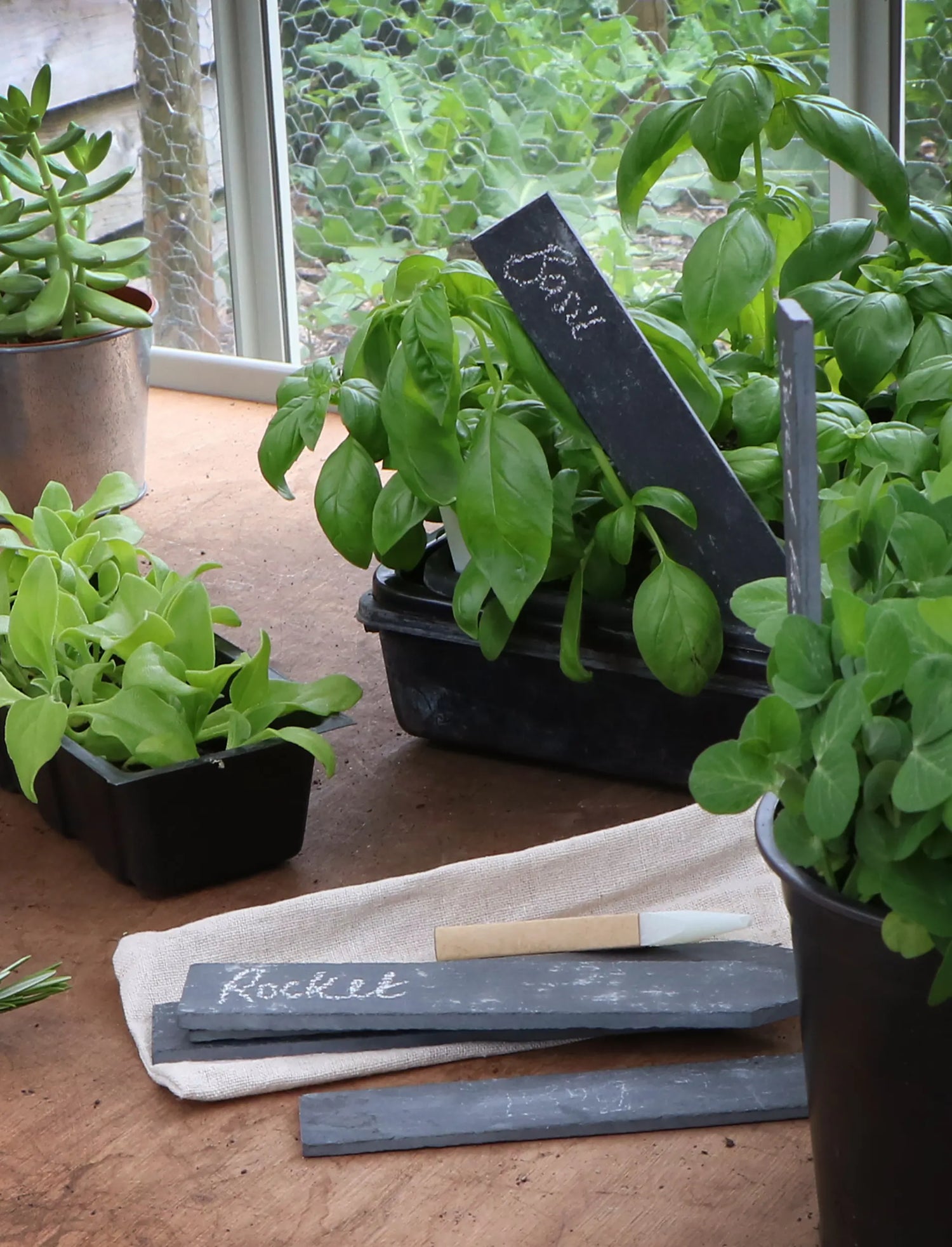 Slate Plant Tags