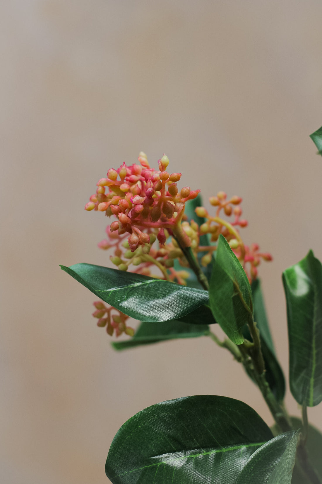 up close of faux pink skimmia stem