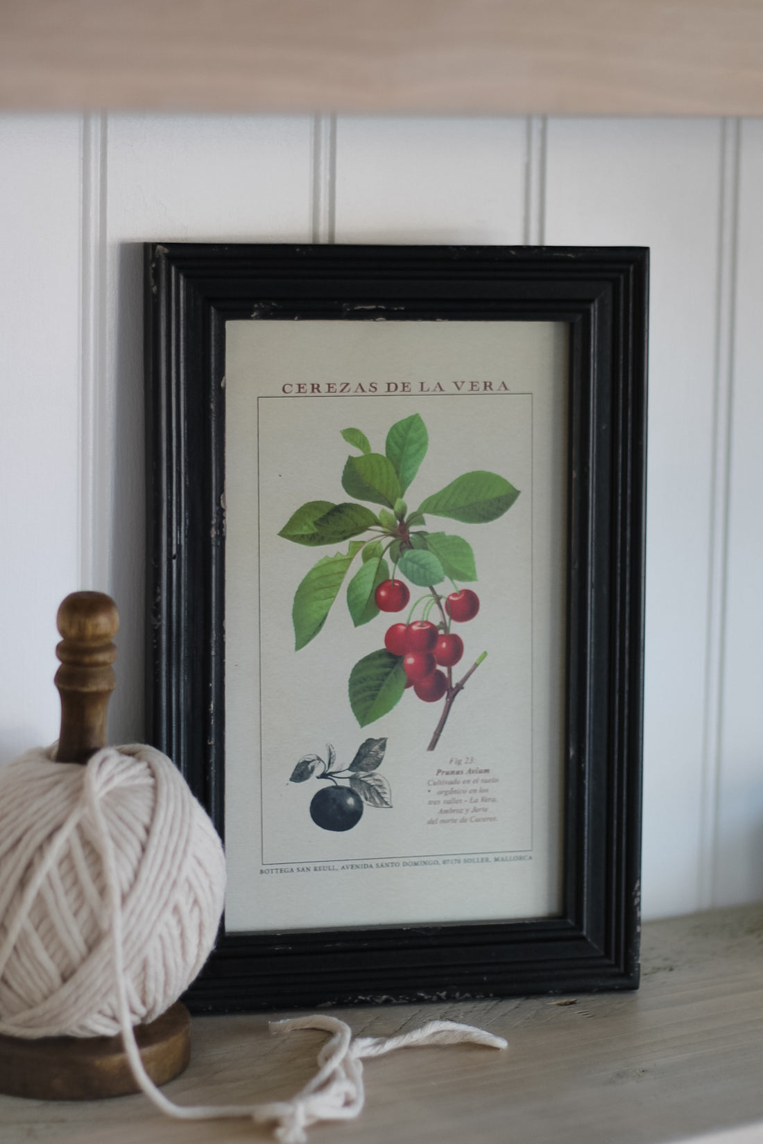 vintage inspired black framed cherry fruit wall art