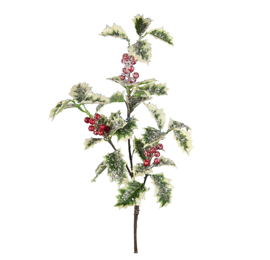 Frosted Holly Spray