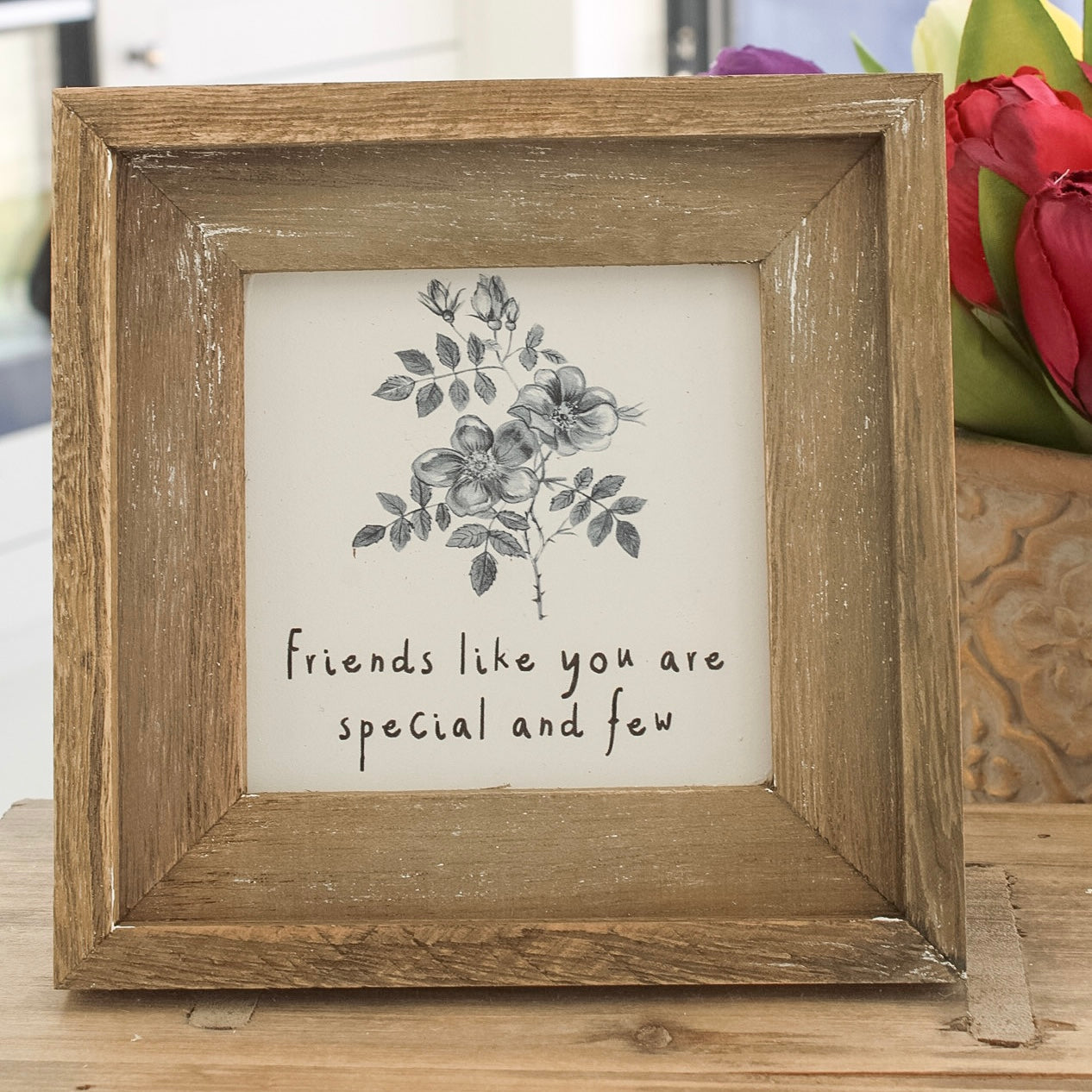 Friends Like You Are Special Rustic Plaque