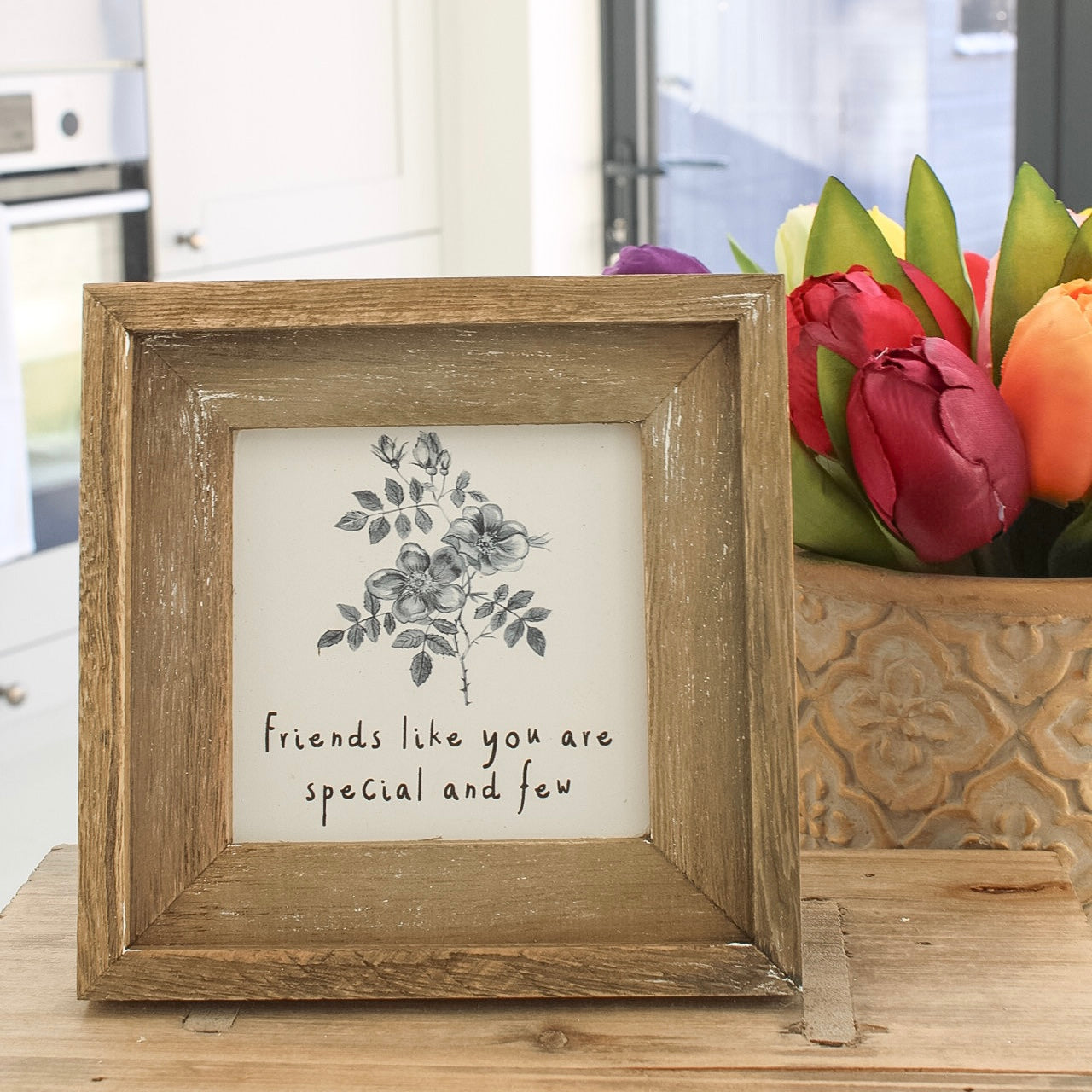 Friends Like You Are Special Rustic Plaque