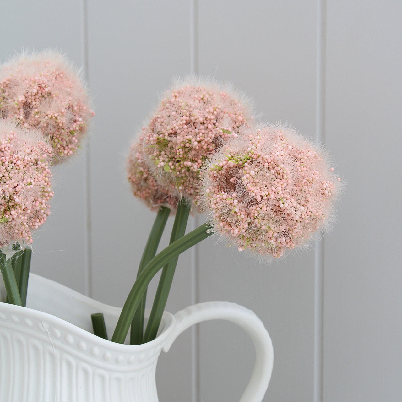 Fluffy Pink Allium Stem